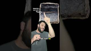 The Asteroid That Changed Everything: A Deep Dive #learning #history #dinosaurs #evolution #paleo