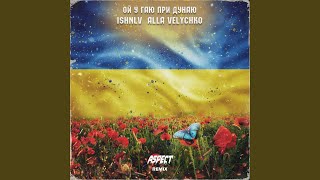 Ой у гаю при Дунаю (Aspect Remix) - ISHNLV & Alla Velychko