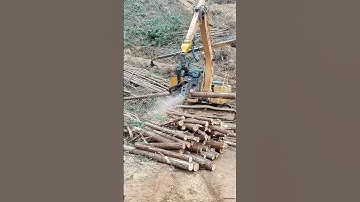 Powerful Excavator Logging Machine in Action | Grapple Saw Timber Harvesting on Mountain Slope