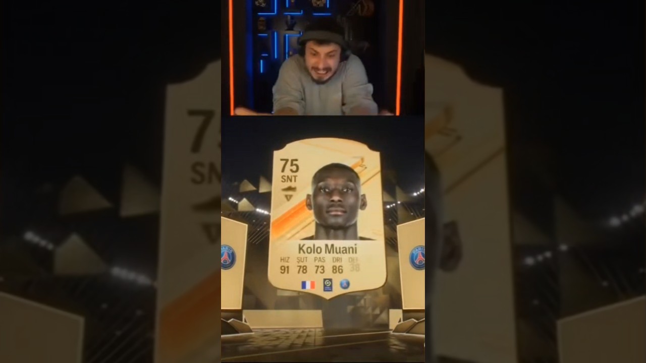 vruldum zannetim Kick:Tagonn 