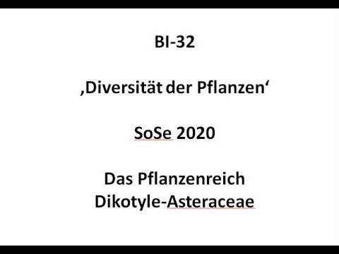 Video: Wie sind apomiktische Samen für Landwirte nützlich?