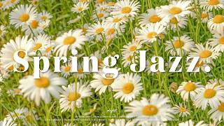Spring Jazz Piano Playlist Relaxing Instrumental Jazz  For A Warm Day