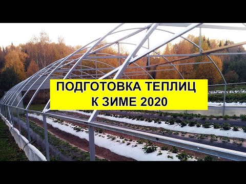 Подготовка теплиц к