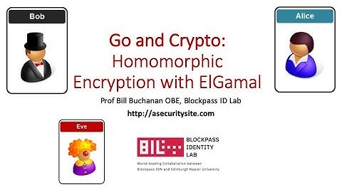 Homomorphic Encryption (Multiply, Divide and Add) with ElGamal