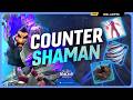 How to Counter Shamans in PvP (Every Ability Explained)