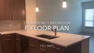 F Floor Plan, 1 bd / 1 ba