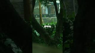 Story WA | Overlay lirik | literasi 30 detik | Troyer Sivan - Angel Baby | viral tiktok