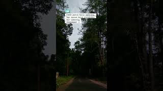 Kita Usahakan Lagi batas Senja                    katakata story status