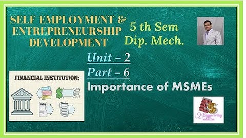 SEED Unit-2 Part-6 Importance of MSMEs By P. N. Chhaniyara