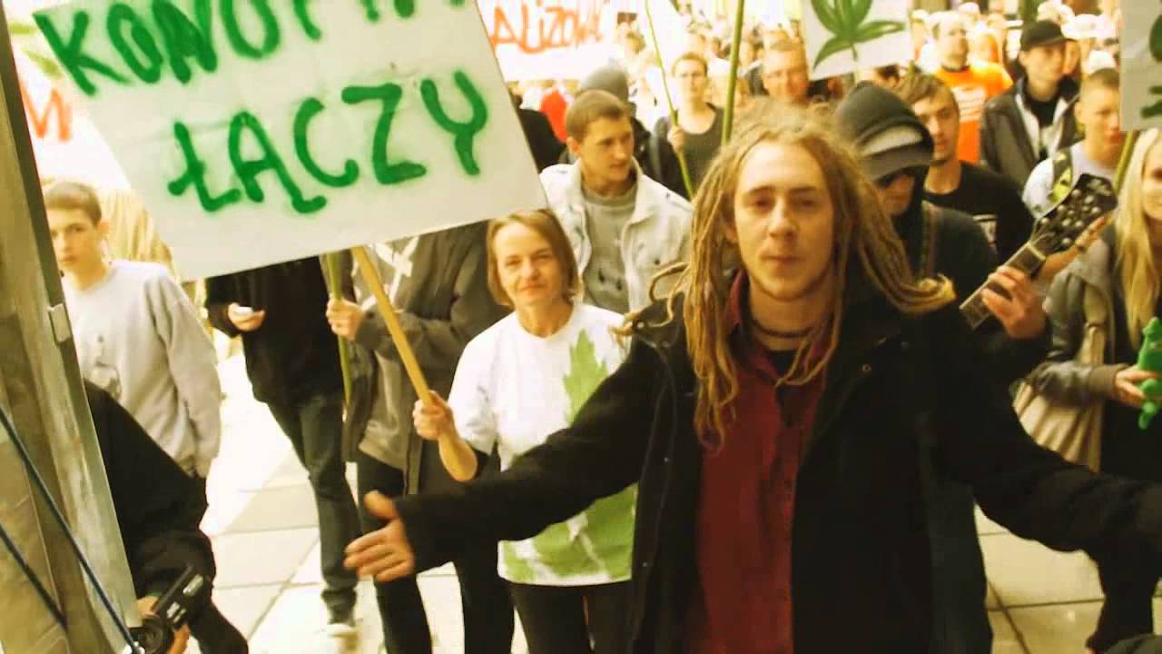 Łysol&Drzewo - Legalize (prod.DonDe, gitara Sosna Sosnowy)