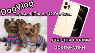 DogVlog: КУПИЛА iPhone 12 Pro Max / ДВА ДНЯ С НАМИ / ЗООПОКУПКИ by Tiffany York 10,032 views 3 years ago 22 minutes