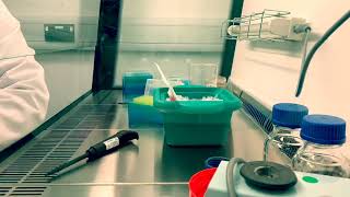 Time lapse of electroporation technique