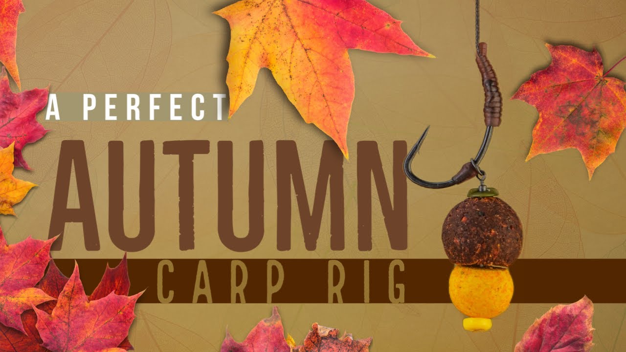 A PERFECT AUTUMN CARP RIG CARP FISHING ONE MORE CAST ALI HAMIDI