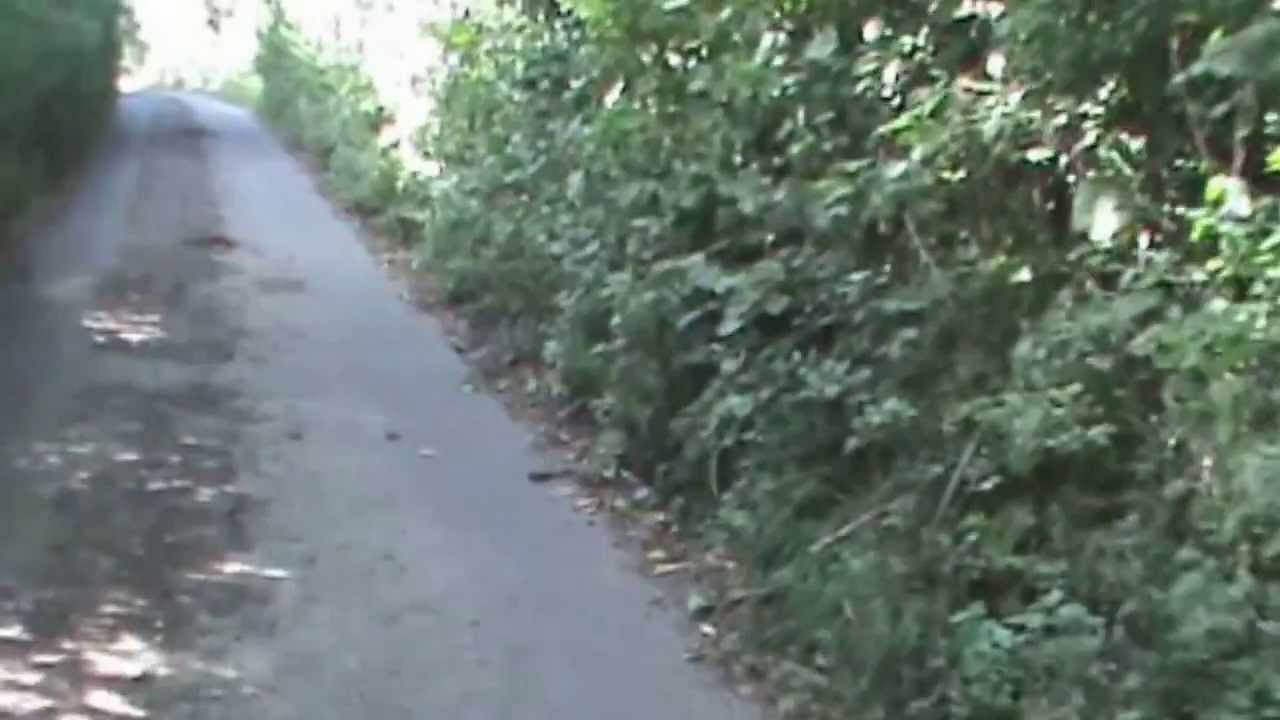 Queens Ave to Hougham Walk Part 1