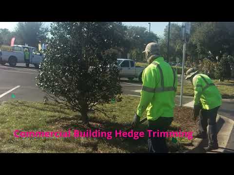 Premier Landscape Management - #1 Commercial Building Hedge Trimming in Sanford, FL