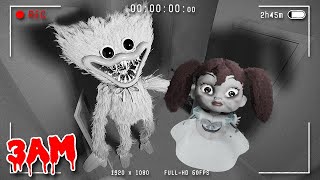 Gece 3Te Poppy Playti̇me Ve Huggy Wuggy Güvenli̇k Kameralarina Yakalandi Poppy Playtime Chapter 2