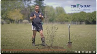 Keeping trees clear of power lines