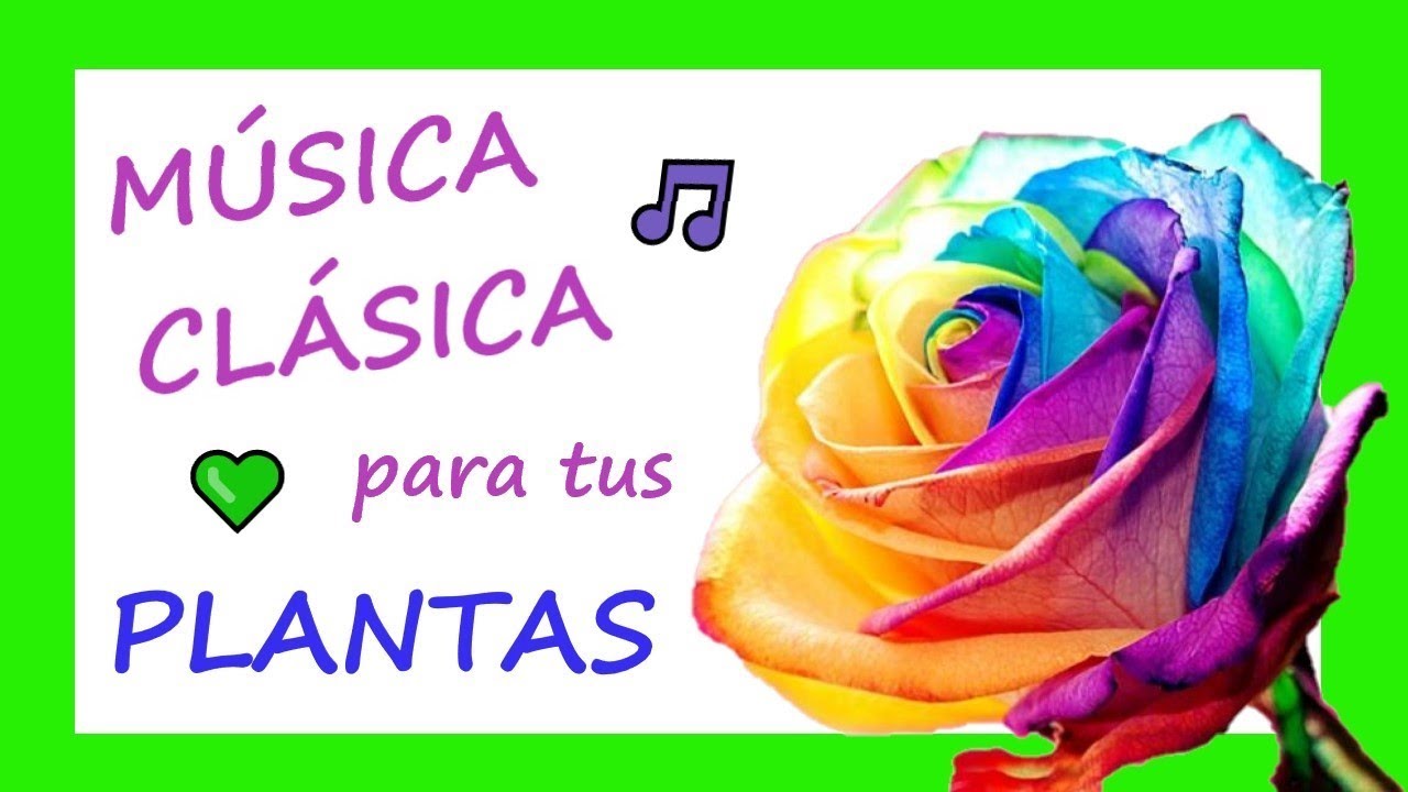 💚MÚSICA CLÁSICA para CURAR PLANTAS🎵
