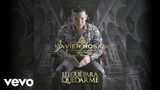 Video thumbnail of "Javier Rosas Y Su Artillería Pesada - Por Eso Te Destrocé El Corazón (Audio)"