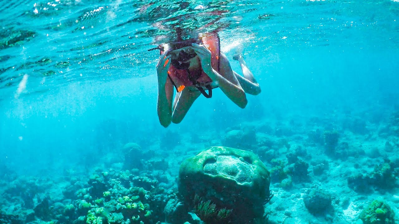 SNORKELING IN ST. CROIX! | Big Beard's Buck Island Adventure