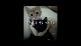 Download lagu the perfect girl - mareux , soft kill remix (sped up🙏).