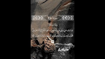 وإذا سألك عبادي عني فإني قريب #سورة_البقرة #عمير_شميم #حامل_القرآن #إسلاميات #قرآن #شهر_رمضان #مكة