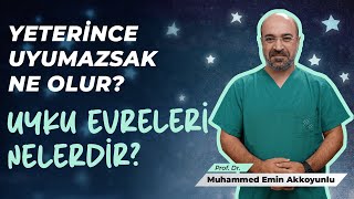 Uyuduğumuzda Neler Olur? Uyku Evreleri Nelerdir?