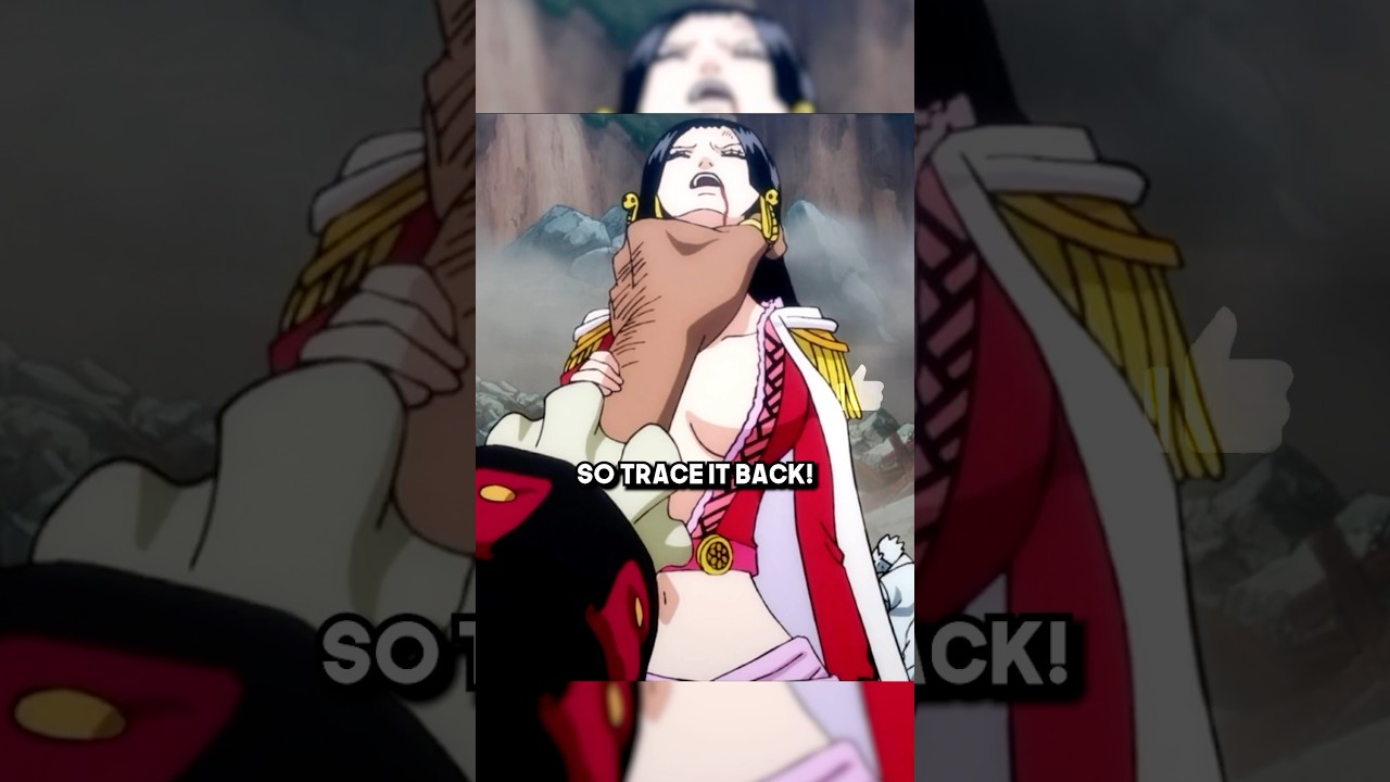 Blackbeard thinks he can use boa&rsquo;s devil fruit 🤣