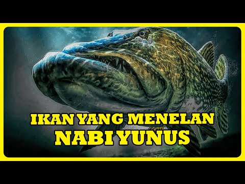 Kisah Nabi Yunus