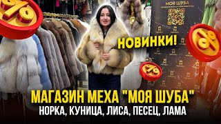 картинка: МАГАЗИН МЕХА 