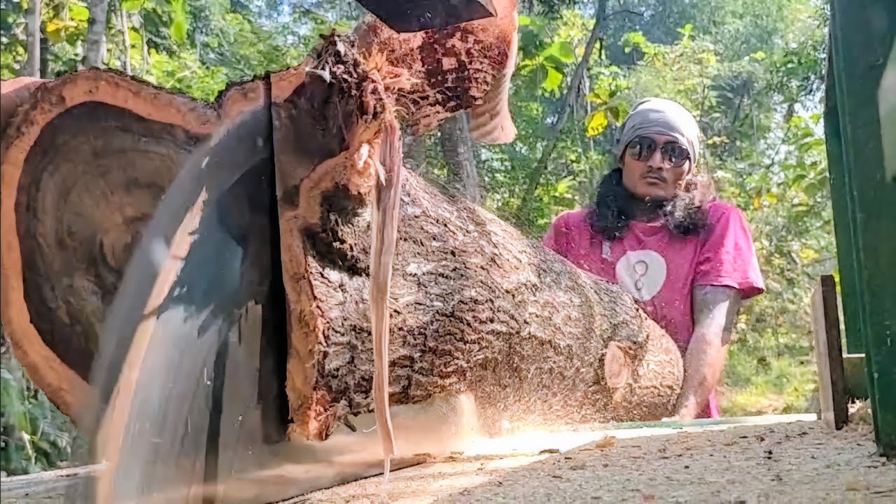 KERAS DAN MENGURAS TENAGA ‼️ Menggergaji kayu akasia - mesin serkel rakitan