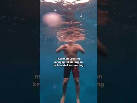 Video: Bolehkah jerung berenang dalam 2 kaki air?