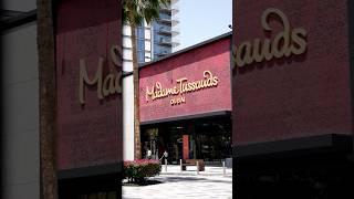 Abu Dhabi-Dubai Travel-Trailer UAE #abudhabi#dubai #video# #behindthescenes#garibov#guide #tour