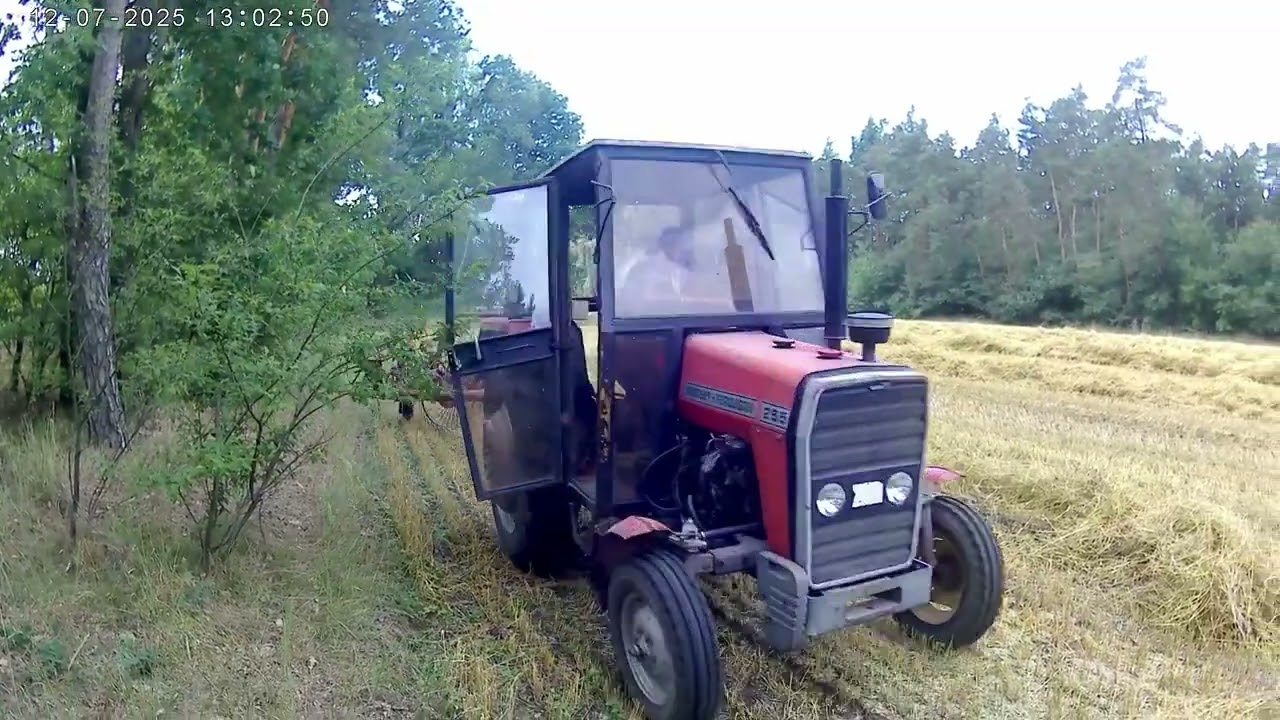 szybcy i głodni roboty zgrabianie słomy mf 255 i pająk