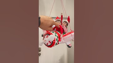 I accidentally touched the elf on the shelf