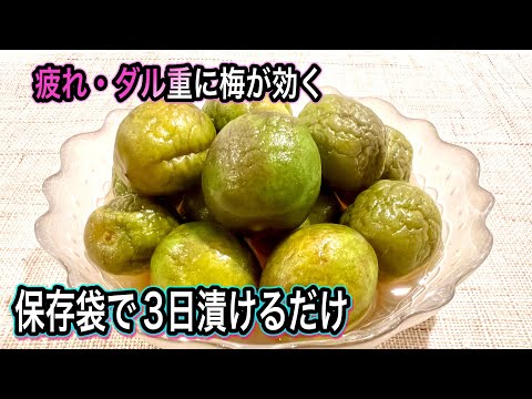 青梅の簡単おやつ！保存袋で3日で作れる！カリカリ爽やか〜疲れ知らずに【簡単！梅仕事】