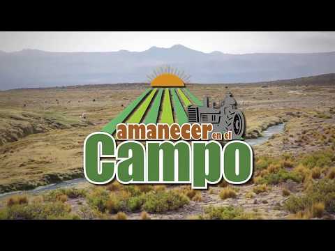 INIA articulará acciones con Concytec para fortalecer la innovación agraria