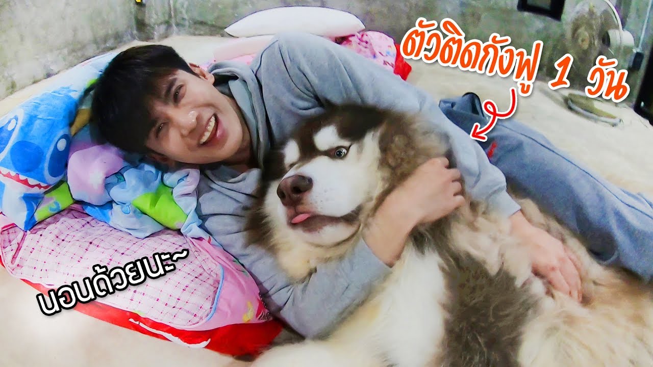 Nemis orgiyalari onlayn porno Plyajda porno suratlarni silkitish