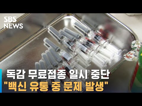 독감 <strong>무료접종</strong> 일시 중단…&amp;quot;백신 유통 중 문제 발생&amp;quot; / SBS
