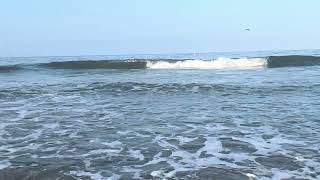 Rolling Waves Under Blue Skies