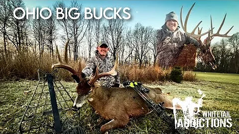THE HIGHS AND LOWS OF A BOW SEASON with Justin Hollandsworth