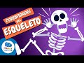 🦴¿Sabías que el cuerpo humano tiene más de 200 huesos? | Vídeos Educativos | @HappyLearningES