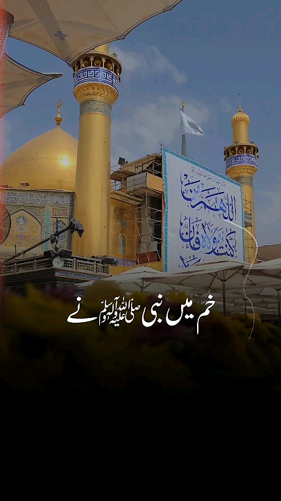 18 Zilhajj Eid Ghadeer Stutus | Mir Hassan Mir New Manqabat Short Stutus #18zilhajj #eidghadeer