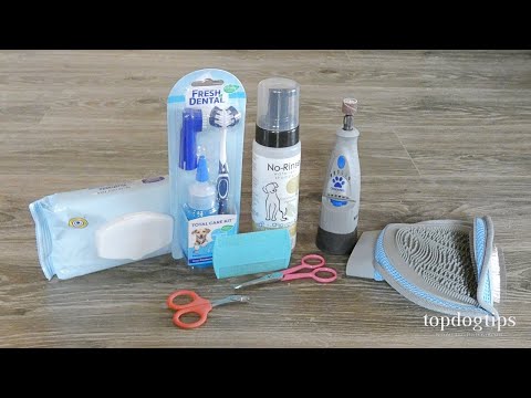 DIY Grooming Kit for Cats: How To Make One