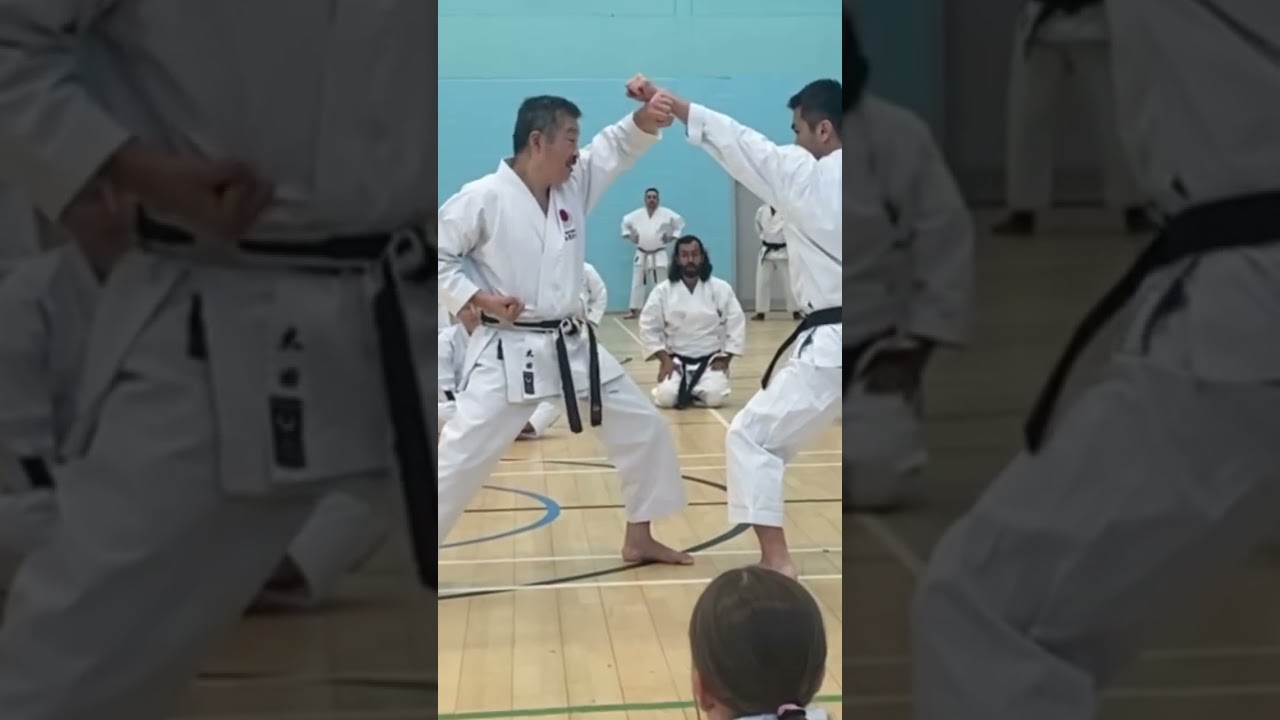 Ohta Sensei Hip Vibration #wkf #karate #mma #budo #ippon #jka #jkakarate #karateathome #ufc #kumite