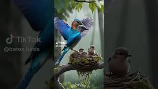 Mother bird Sheltering her Chicks from the Rain #ai #mother #birds