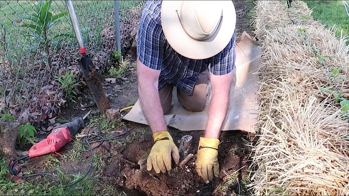 Stump Removal With Reciprocating Saw