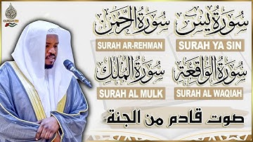 سورة يس، الرحمن، الواقعة، الملك بصوت جميل هادئ مريح للقلب استمع بنية الرزق والبركة وتيسير الأمور
