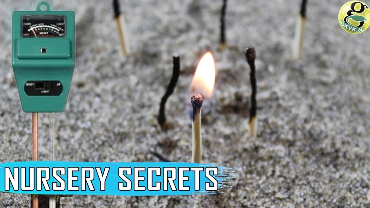 WOOD ASH BIO CHAR Nursery Secrets And Best Fertilizers Wood Ash 