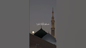 (إِذَا رَأَيۡتَهُمۡ حَسِبۡتَهُمۡ لُؤۡلُؤٗا مَّنثُورٗا) سورة الإنسان - الشيخ المنشاوي